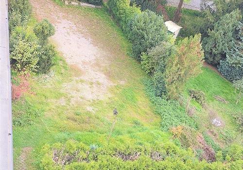 Parkplatz/Garten zur Straße