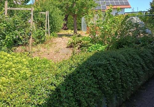 Obst und Gemüsegarten