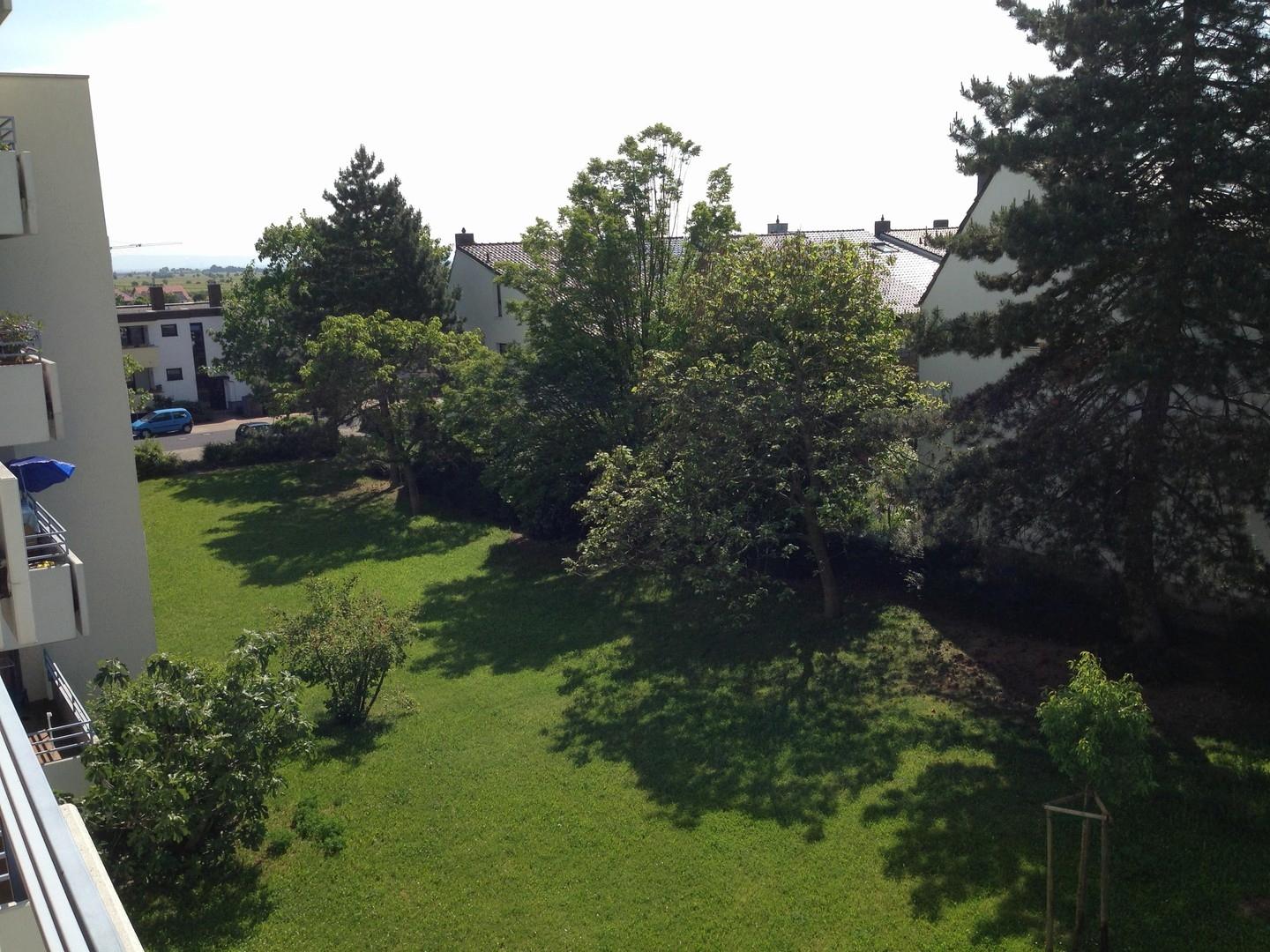 Balkonblick  