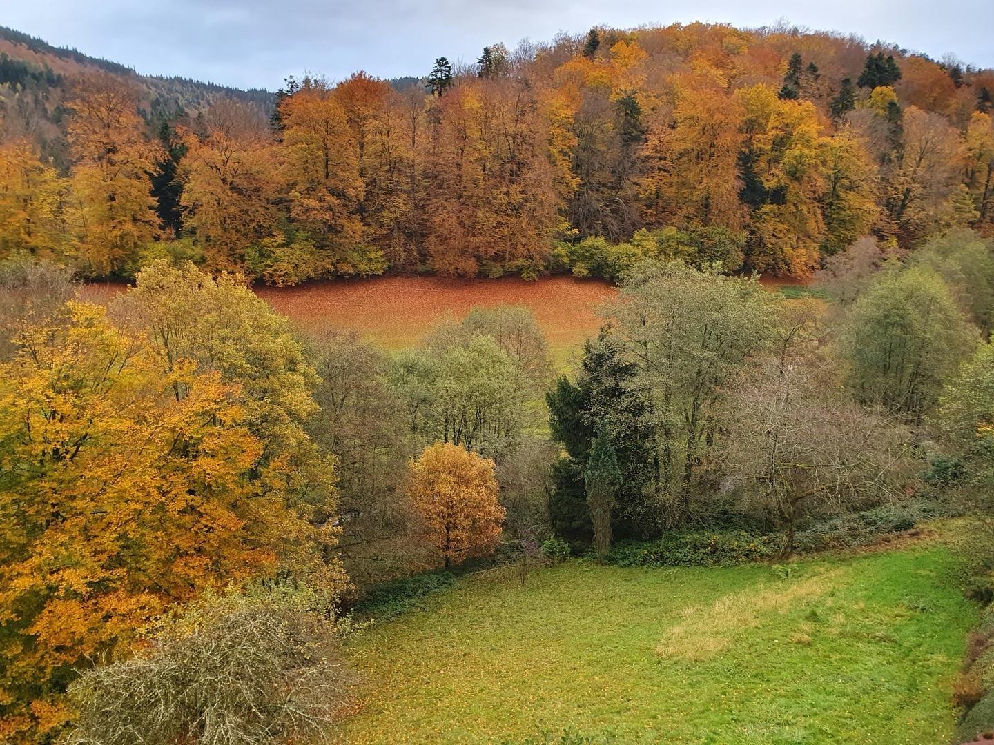Blick ins Gaistal