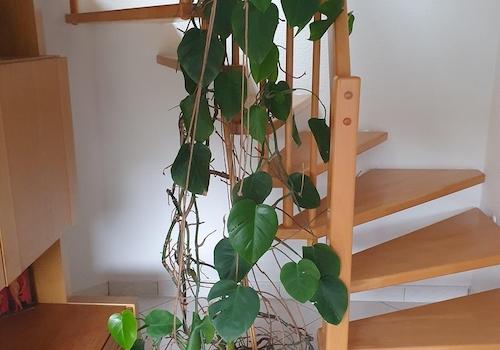 Treppe ins Obergeschoss