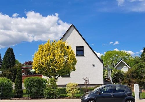 Außenansicht vorne im Sommer