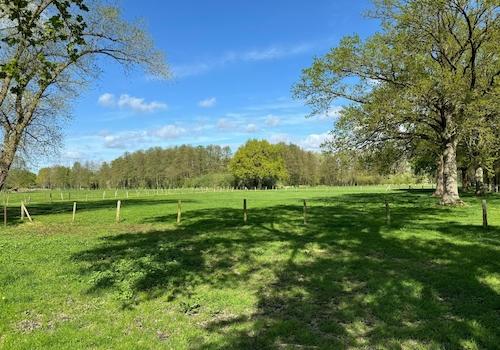 Angrenzendes Eigenland