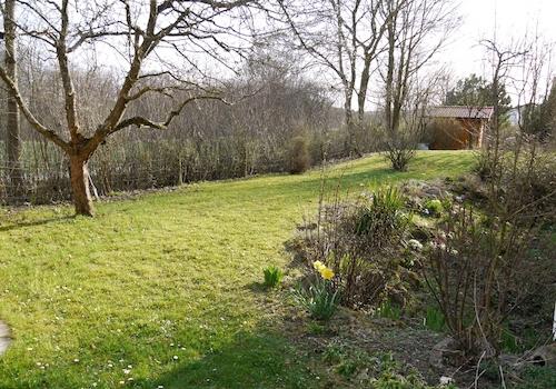 Blick in den Garten