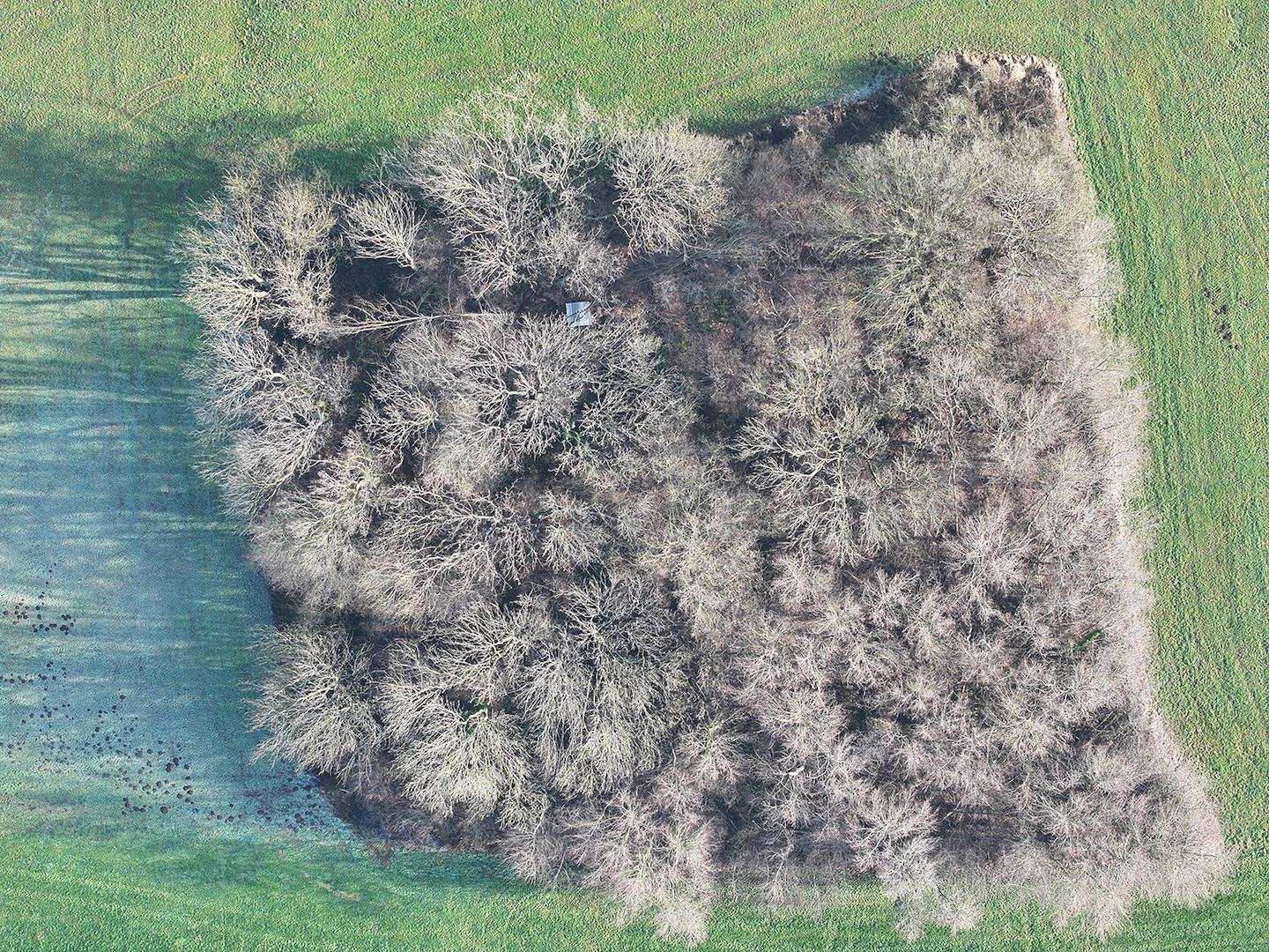 Blick auf den Wald 