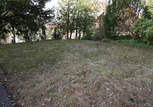 Grundstück neben dem Haus