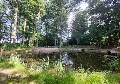 Teich mit Sandstrand