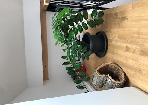 Property thumbnail 6