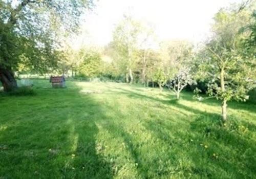 Eingezäuntes großes Grundstück