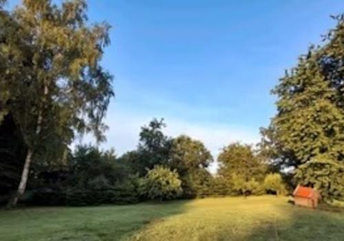 Gepflegtes Grundstück