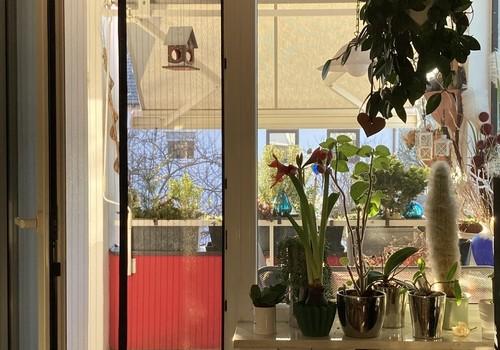 Wohnzimmer Zugang Balkon