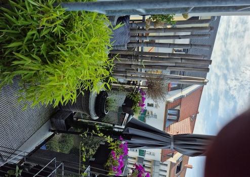 Property thumbnail 6