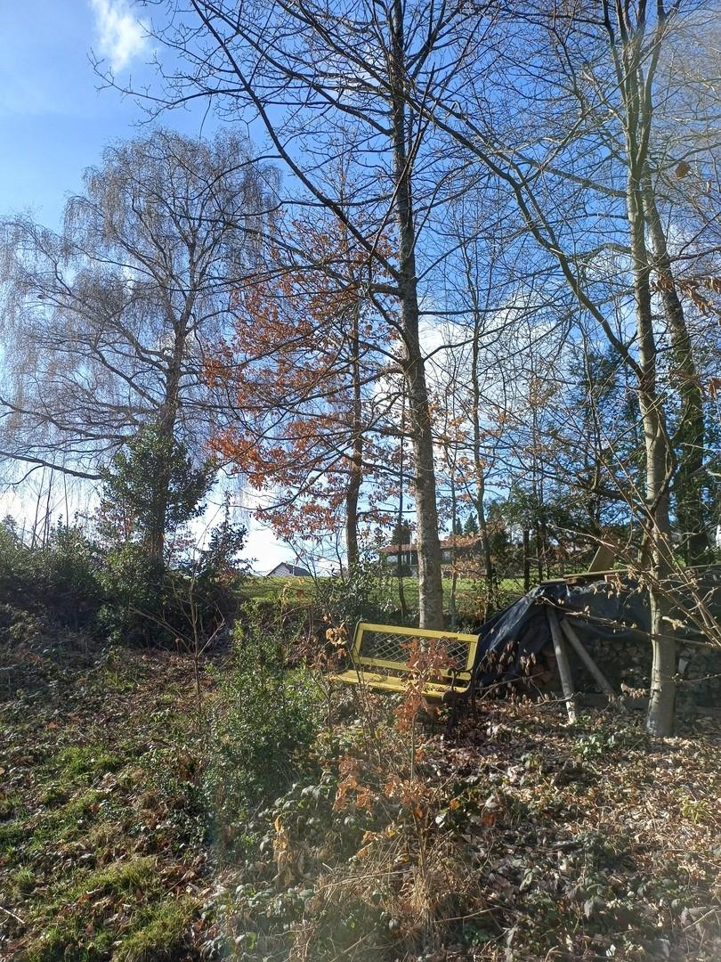 Rastplatz im Grünen