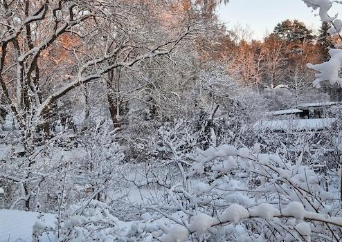 Property thumbnail 17