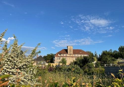 Oberer Kopfbau von Nordwest