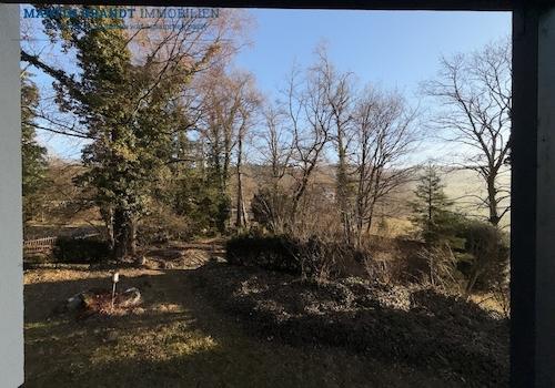 Ausblick in den Park