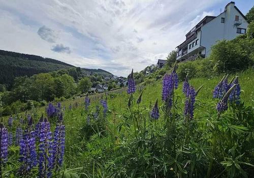 Die Wiese hinter dem Komplex.