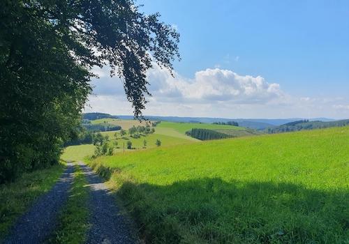 Wanderweg in der Umgebung