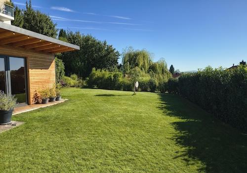 Garten mit Gartenhaus