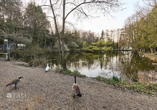 Genießen Sie den Sonnenuntergang
