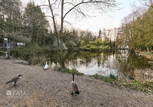 Genießen Sie den Sonnenuntergang