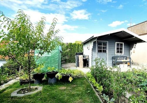 Gemüsegarten und Gartenhaus