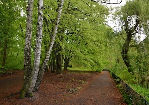 Property thumbnail 13