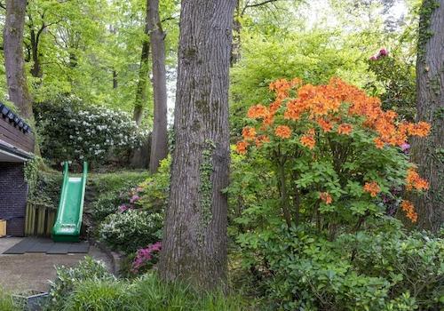 Garten und Terrasse im EG