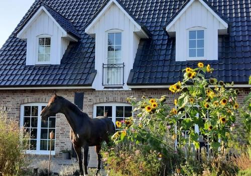 Rückansicht mit Garten