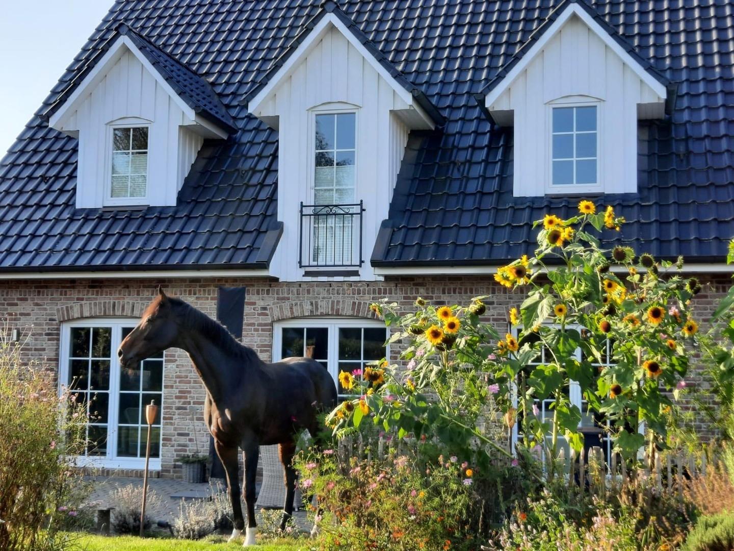 21629 Neu Wulmstorf, Hamburg