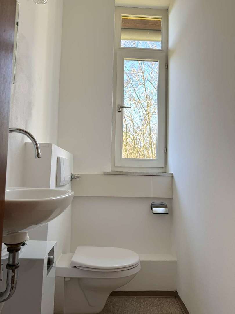 WC Damen 