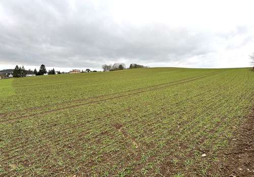 3505 B - Grundstücksaussicht nach Westen
