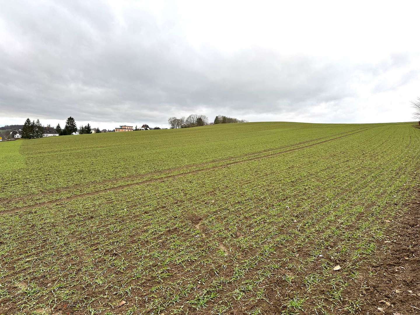 3505 B - Grundstücksaussicht nach Westen