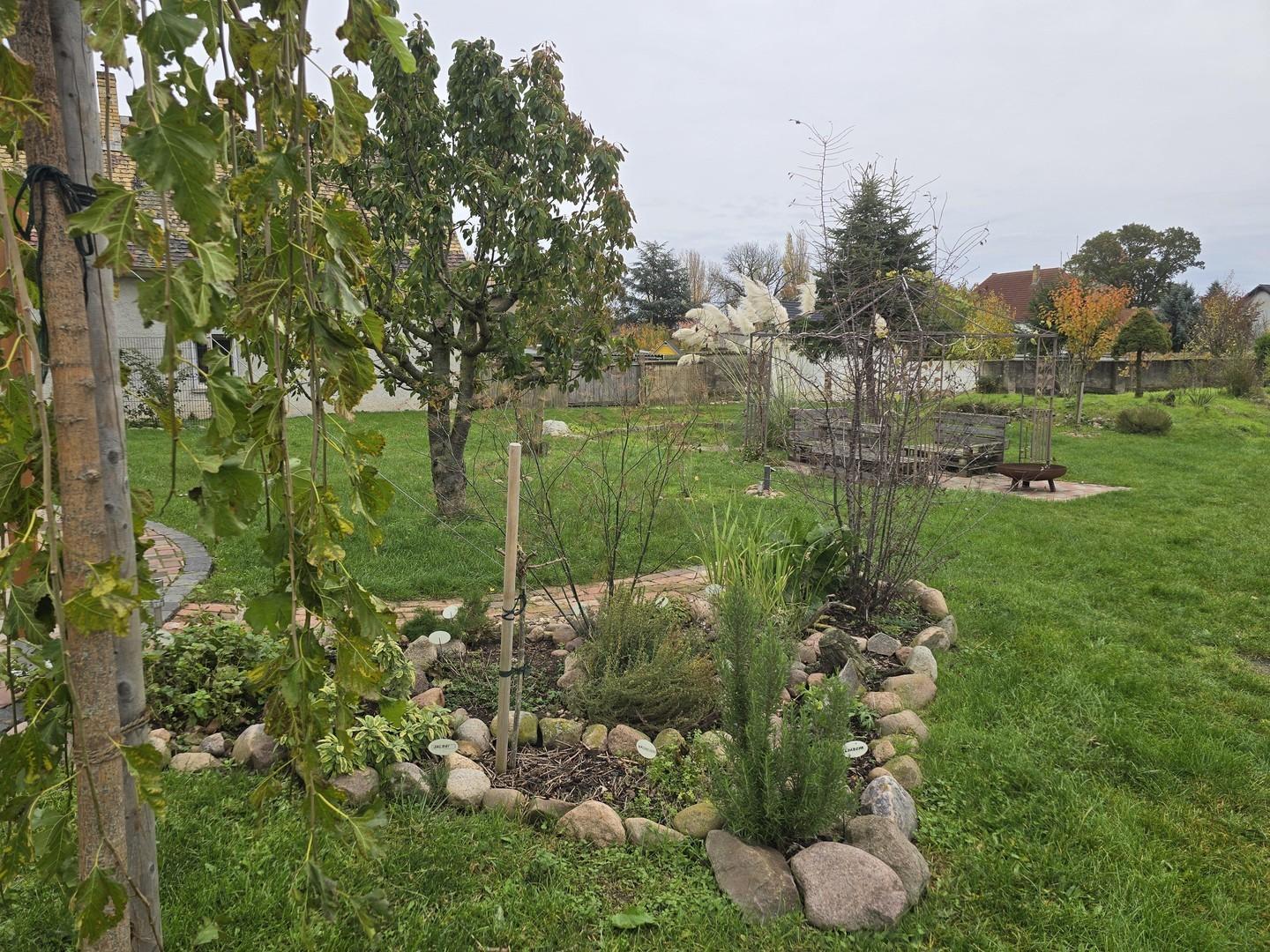 04509 Wiedemar, Leipzig - Photo 3