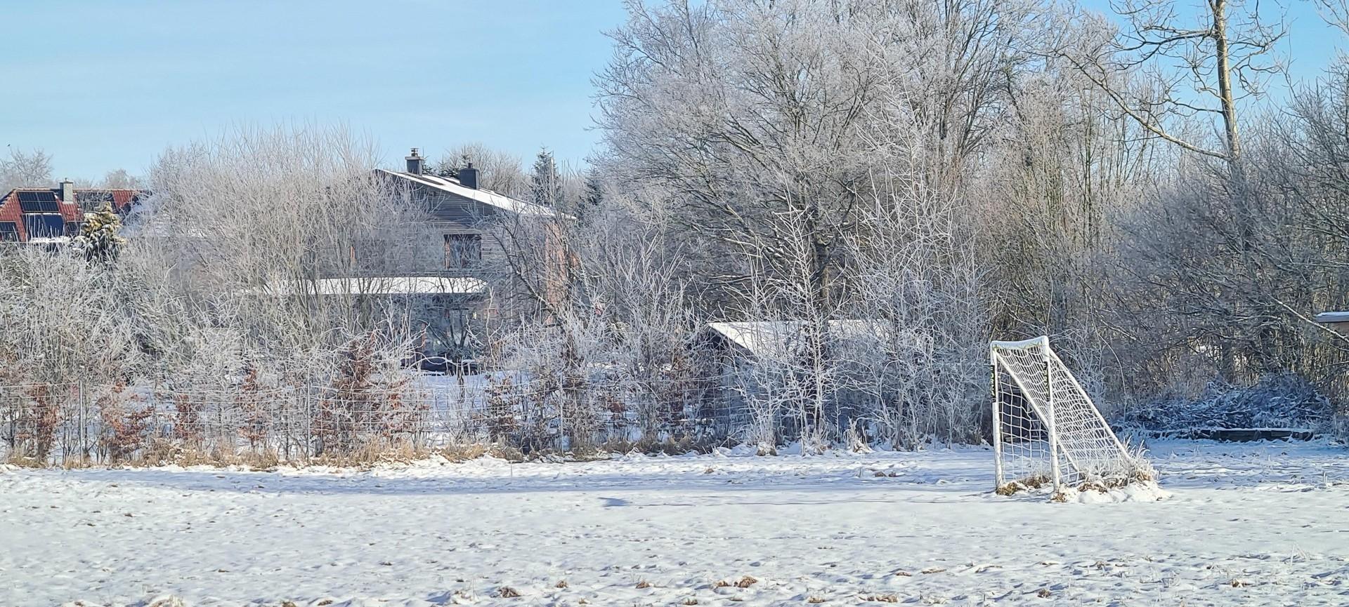 Blick von der Koppel 02/26