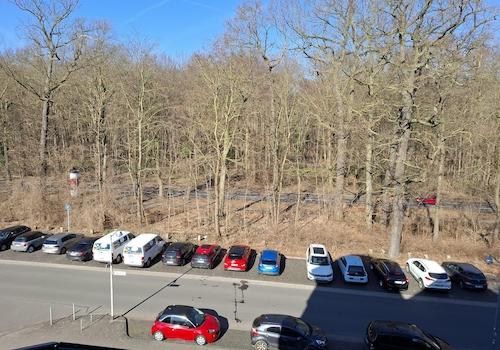 Blick in die Eilenriede