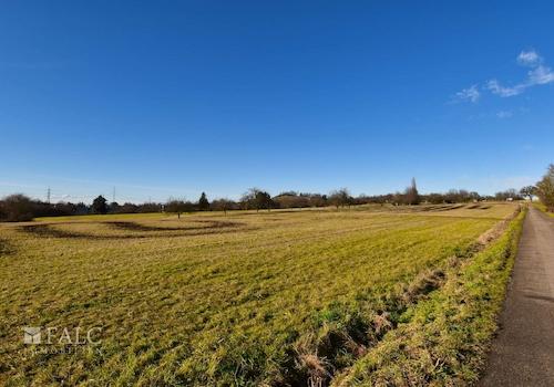 Spazieren am Feldrand