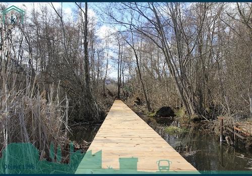 1996 Steg mit Blick zum Ufer