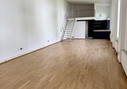 Loft mit Galerie OG