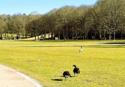 Impressionen Westpark