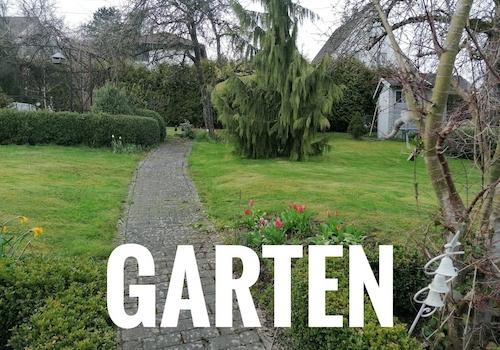 Blick von Terrasse in Garten