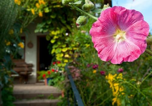 Haus 1 Terrassentür