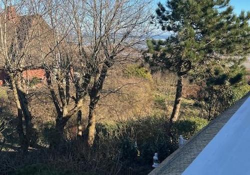 Nord-Ost-Blick im März