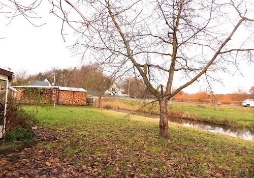 Gartenausschnitt III