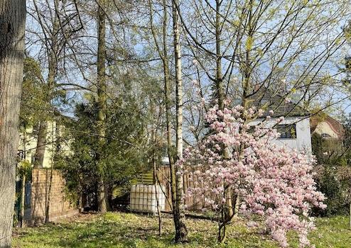 Property thumbnail 19