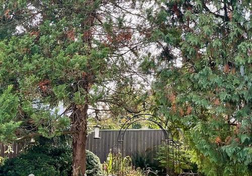 Garten als Oase der Ruhe