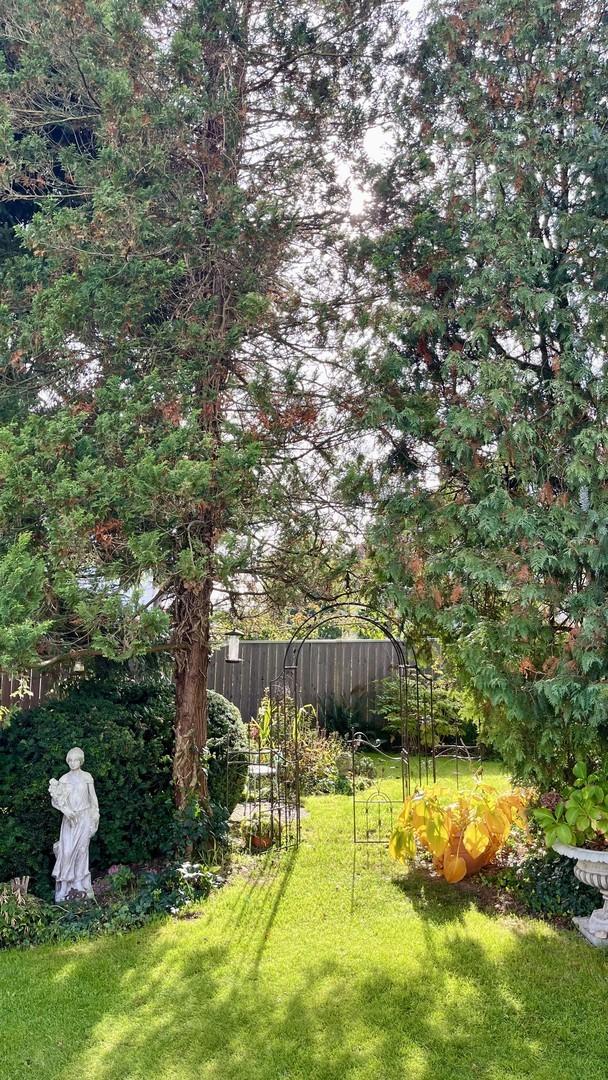 86420 Diedorf - Anhausen, Augsburg - Photo 3