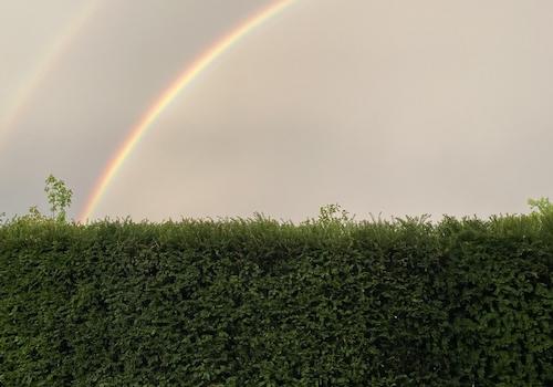 Regenbogen