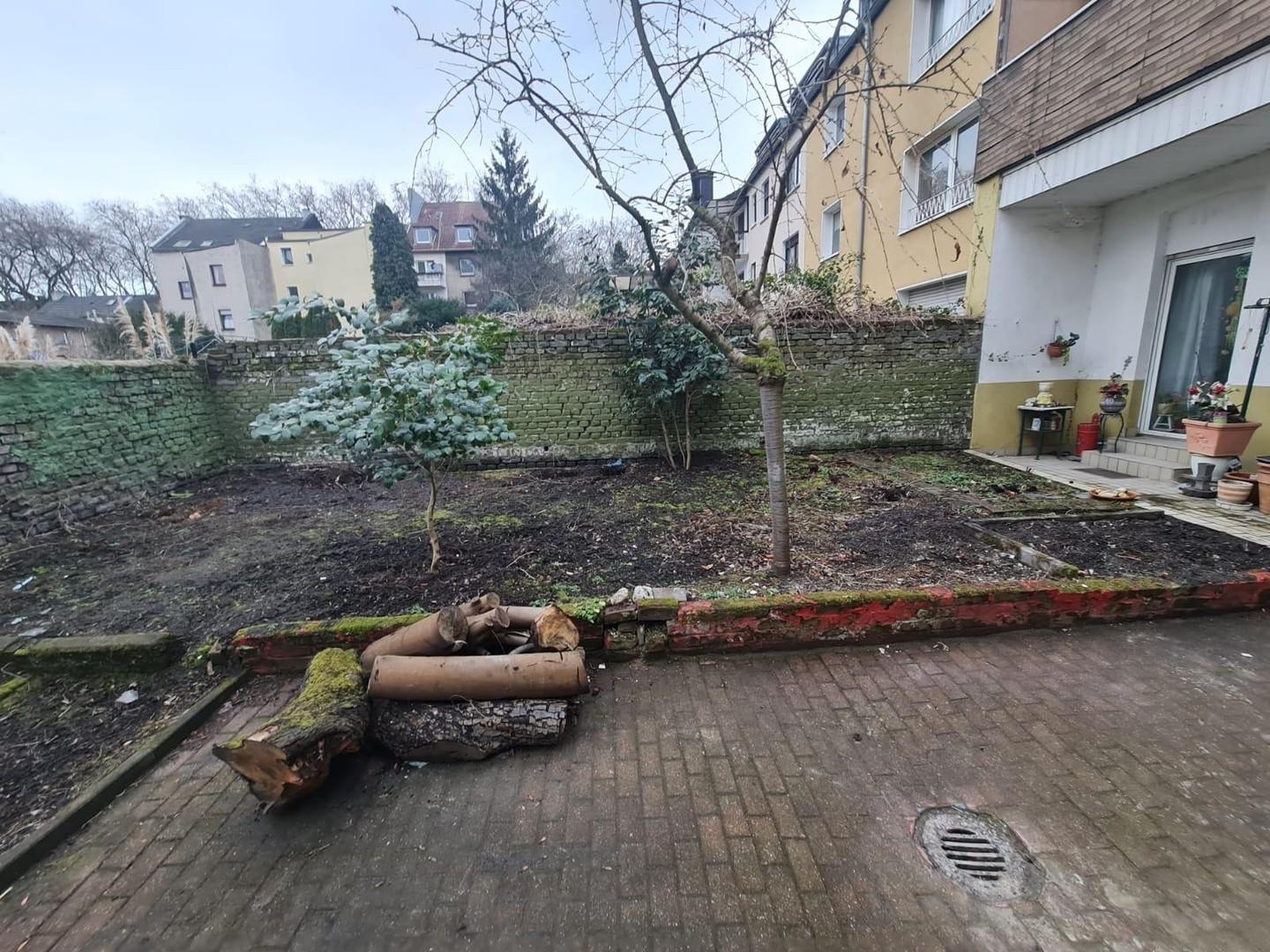 Garten vor Neugestaltung