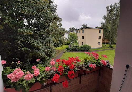 Blick vom Balkon